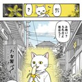 ただのねこがバナナを食べる 3枚目