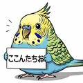 こんにちはが中々言えないWhiskインコ 4枚目