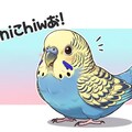 こんにちはが中々言えないWhiskインコ 6枚目