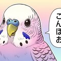 こんにちはが中々言えないWhiskインコ 5枚目