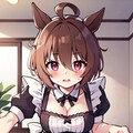 メイドタキオン詰め合わせ 5枚目