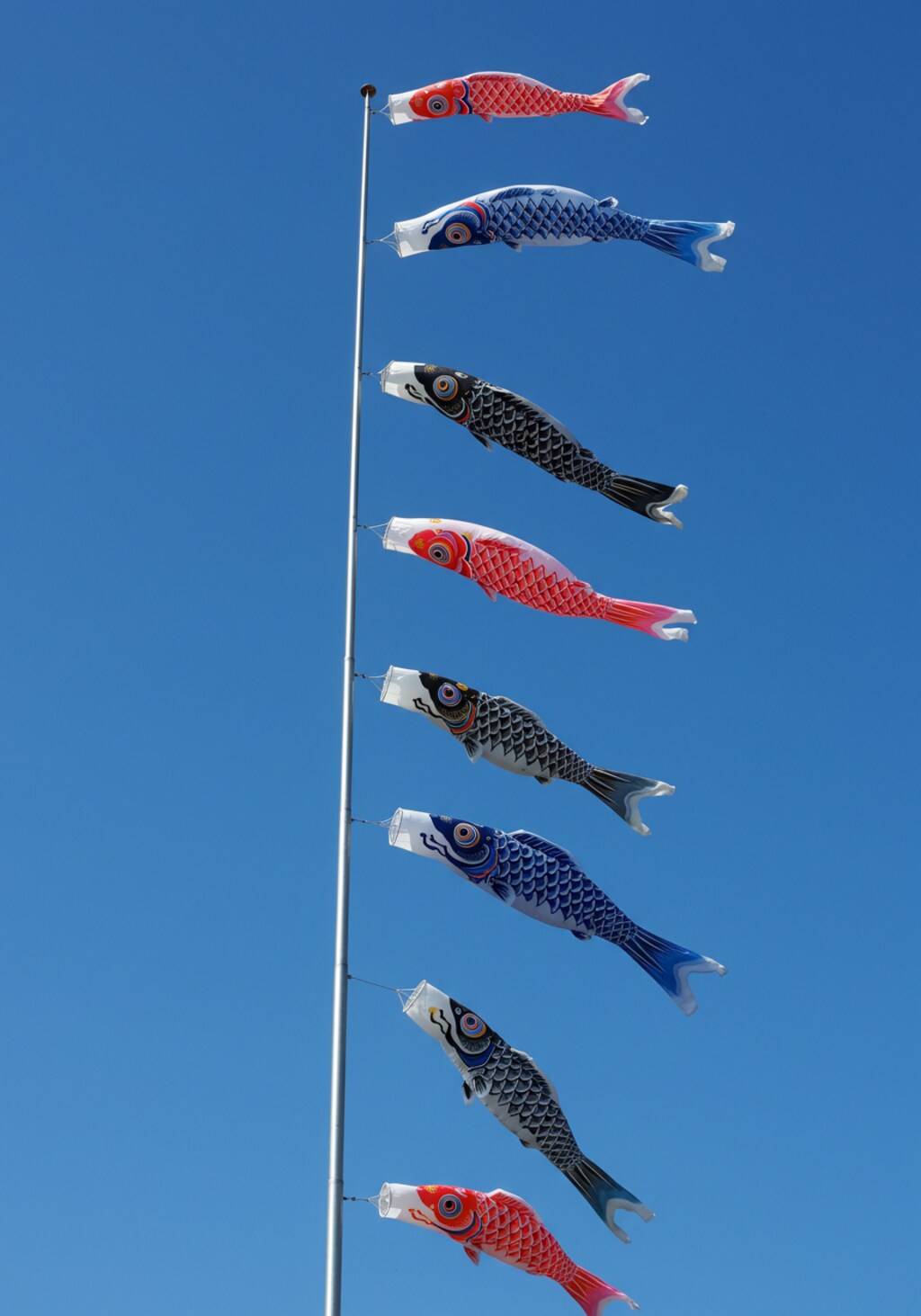 子供の日と鯉のぼり