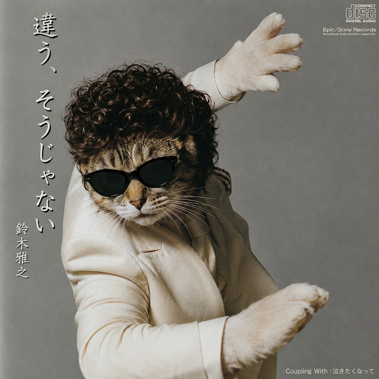 違う違う猫