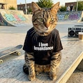 ブレイクダンス愛の猫 2枚目