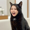 人面猫・犬 2枚目
