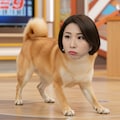 人面猫・犬 6枚目