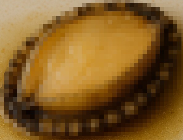 きょうのいっぴん　アワビの酒蒸し　マツタケとモザイクを添えて