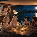 夜のピクニック 5枚目