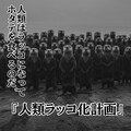 企画説明 『人類ラッコ化計画』【ネコノ企画】 2枚目