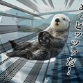 海貝峠の白ラッコ『最速のT』【ニャンノ世界】 2枚目