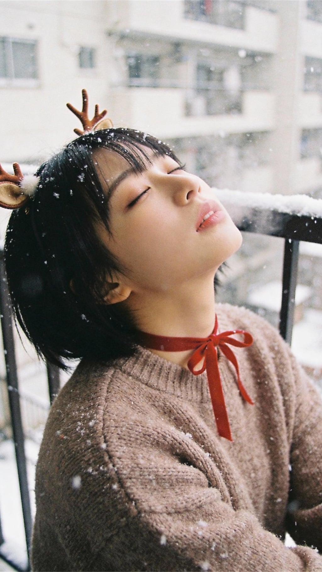 Winter’s Playful Wink