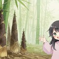 たけのこと少女 2枚目