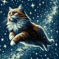 （ネタ有）猫と星空 6枚目