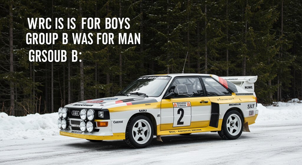 アウディラリーカーグループB