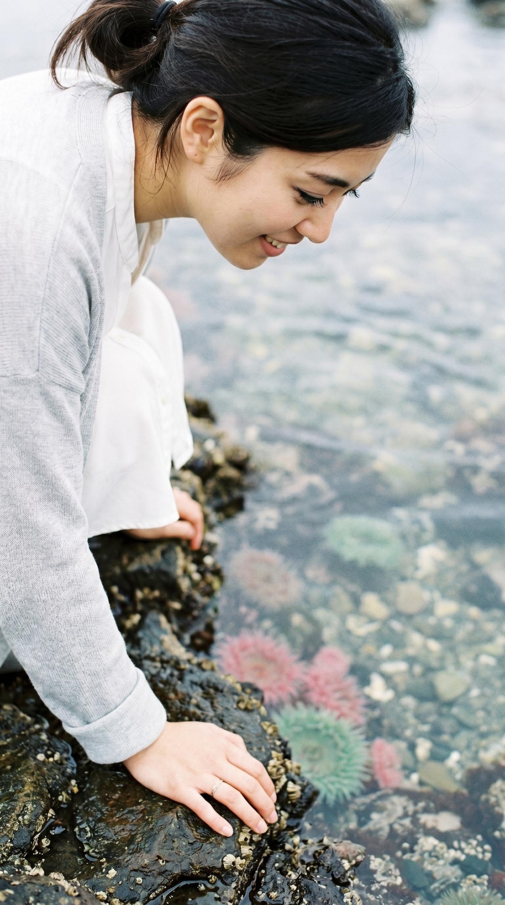 Treasures Hidden in the Tidepool