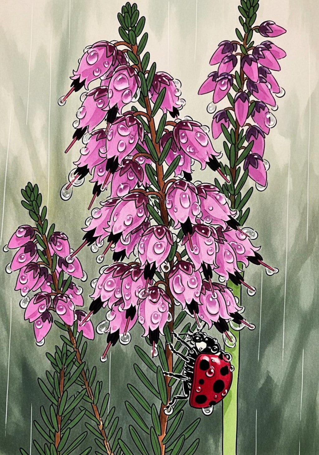 春を告げる雨とジャノメエリカ