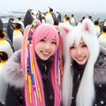 皇帝ペンギンに会いたいの～🐧 6枚目
