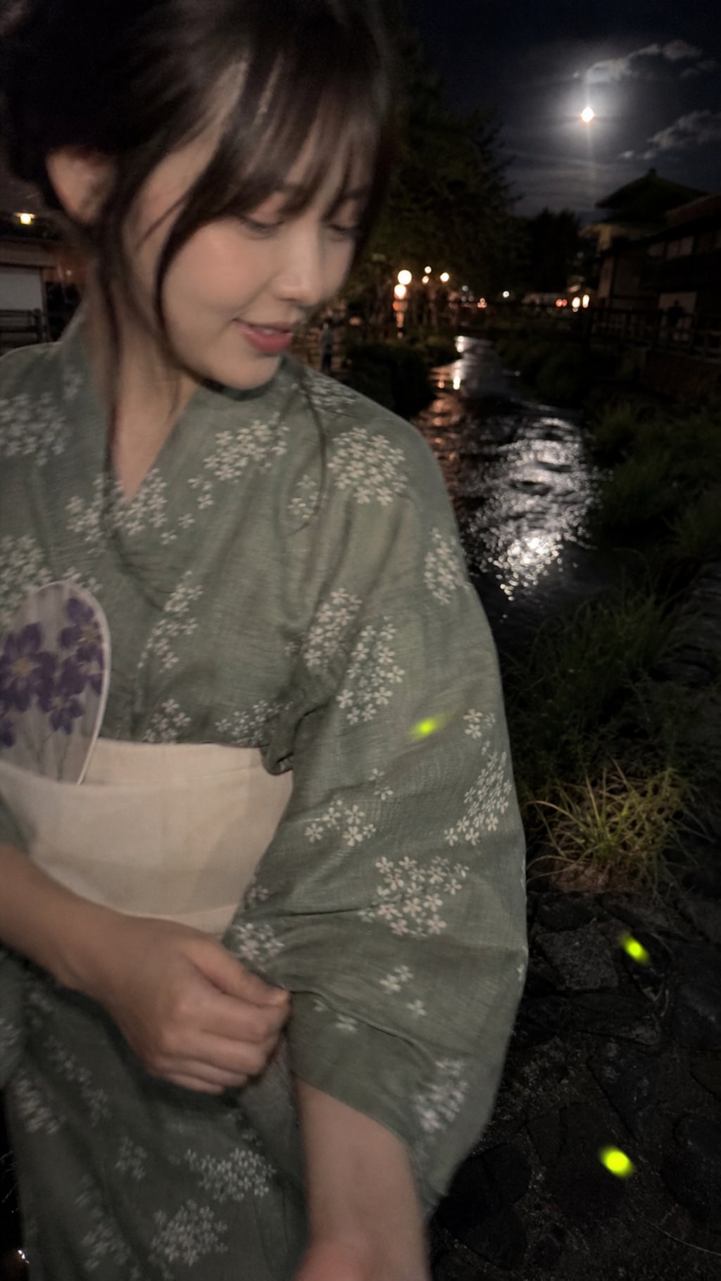 Fireflies Along the Stream
