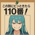 この顔にピンと来たら110番 2枚目