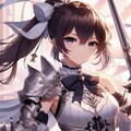 『白輝の騎士団』 5枚目