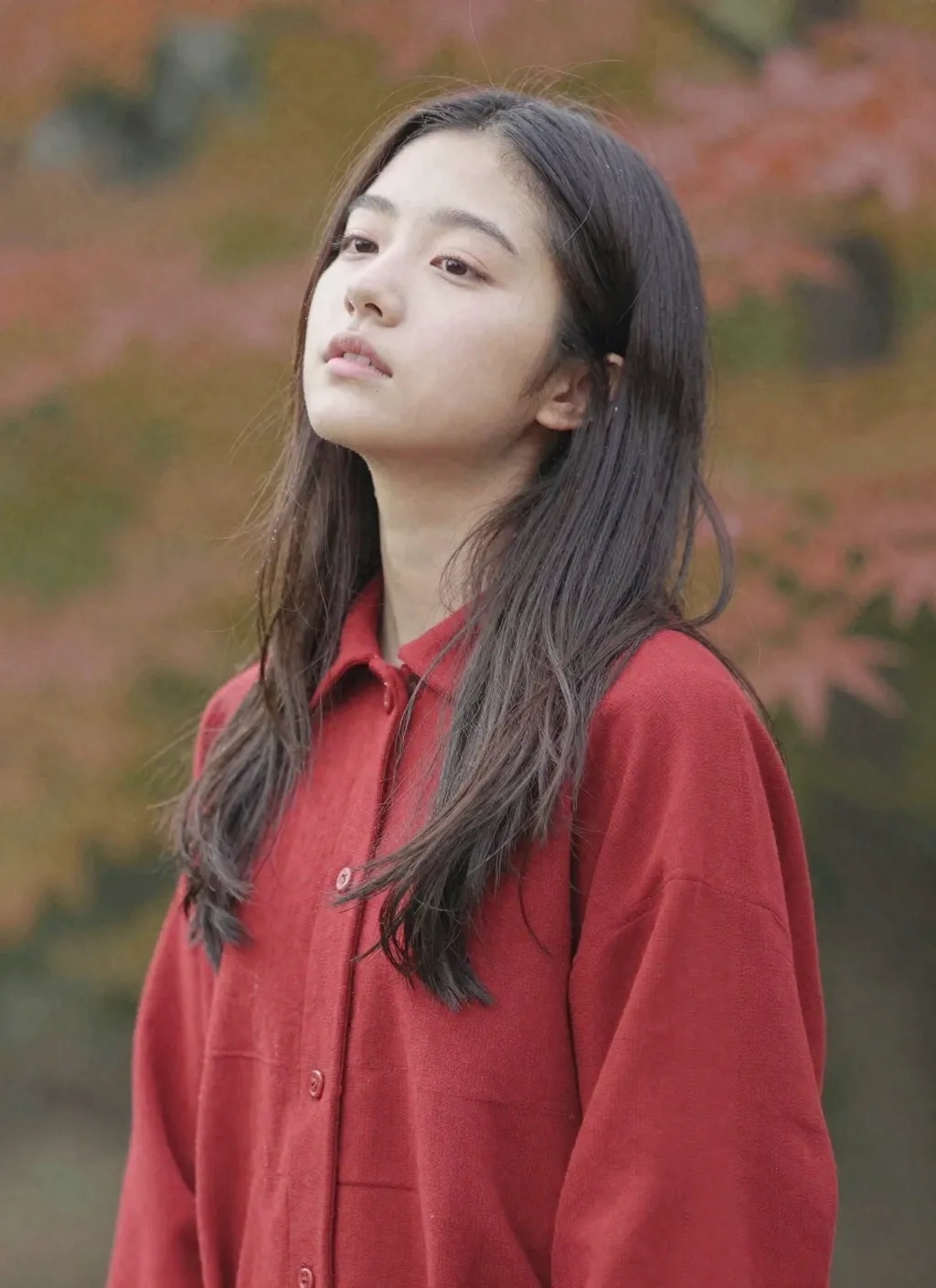 今日の適当な詰め合わせ