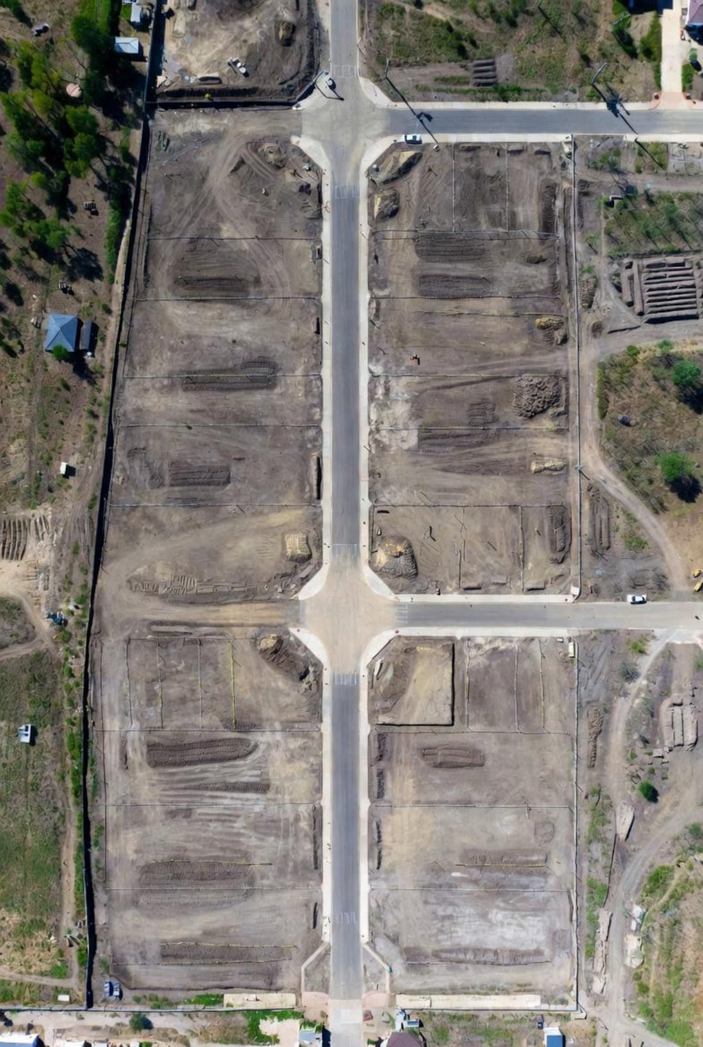 しむしてぃごっこ 1日目(26/1/6)