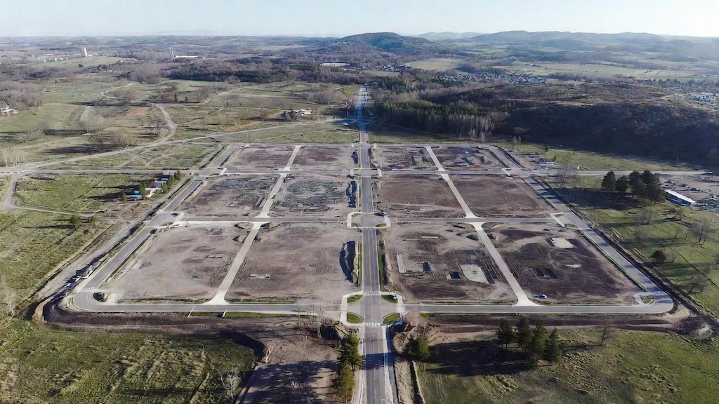 しむしてぃごっこ 1日目(26/1/6)