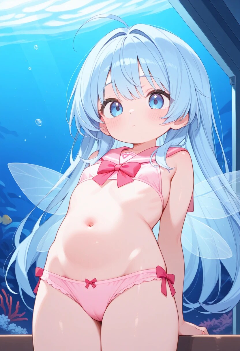 妖精の羽🧚