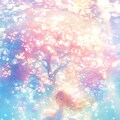 満開の春の海中桜🌸 2枚目
