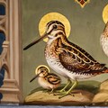 Shorebirds on church mural 2枚目