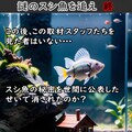 「謎のスシ魚を追え・エピローグ」 2枚目