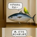 いぬとねこといんこのぼつがぞう 4枚目