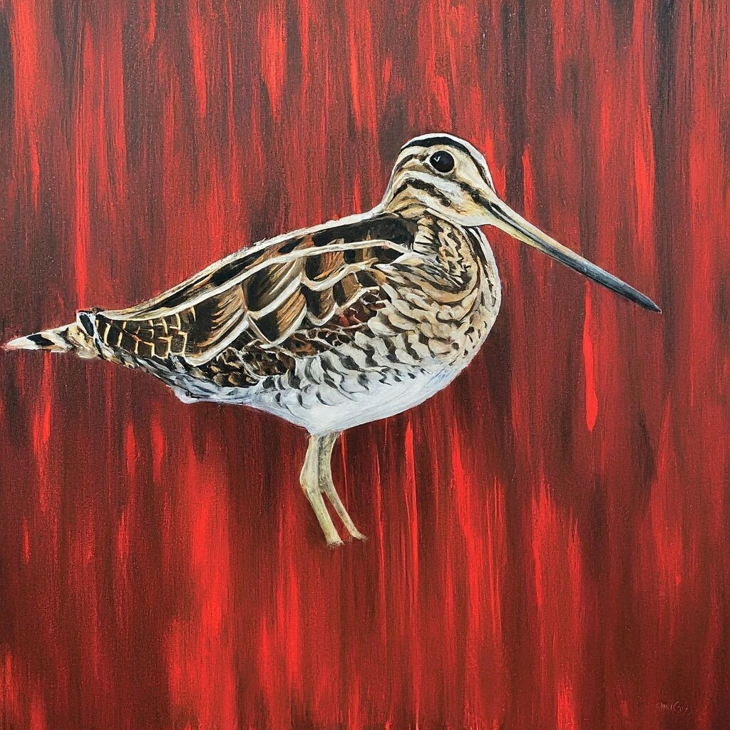 Snipe in red pond