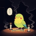 秘密の儀式喋るインコ 5枚目