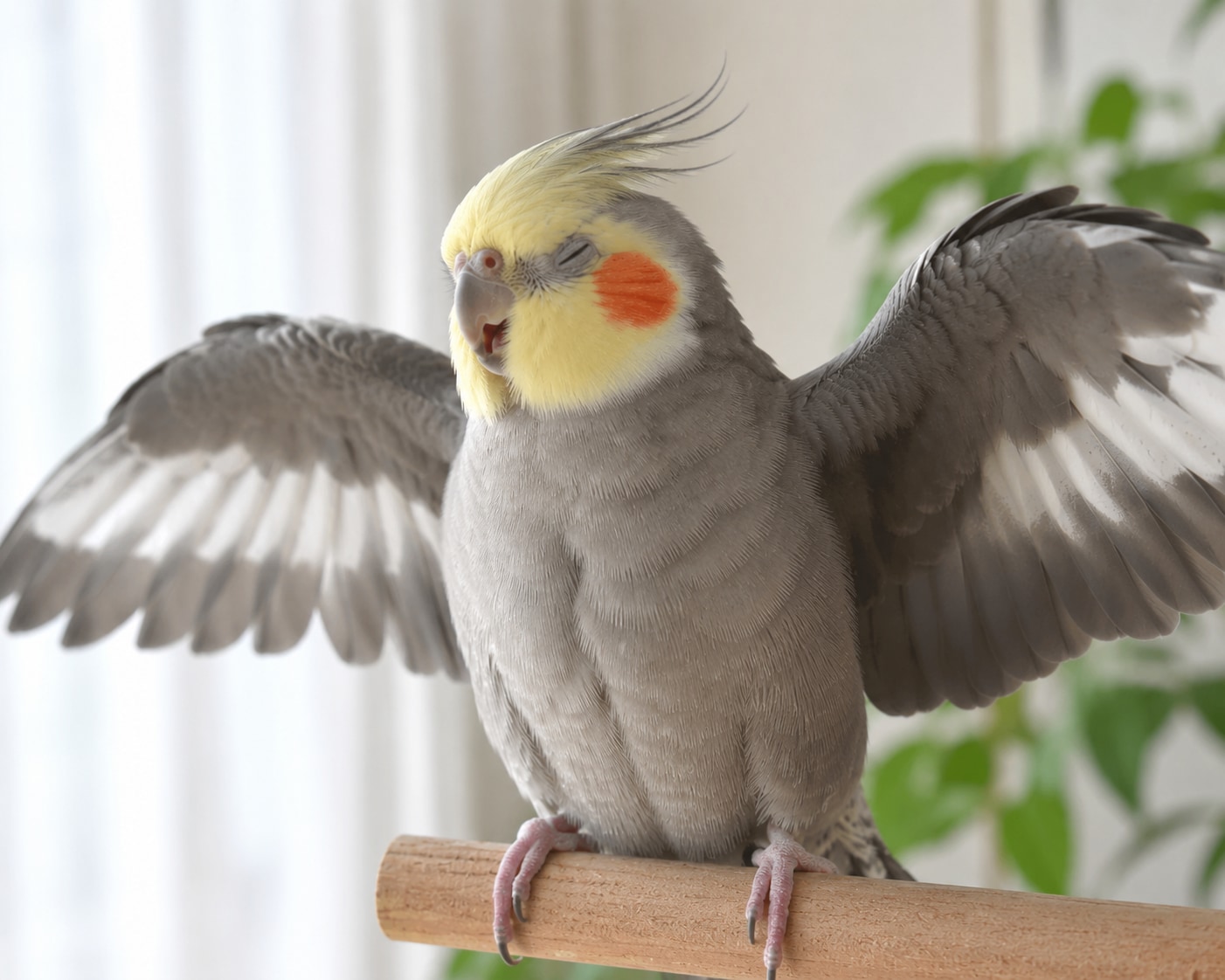 オハヨ……