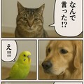 いぬとねこといんこ15 3枚目