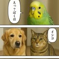 いぬとねこといんこ15 2枚目