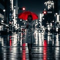 雨の夜（赤だけの世界） 2枚目