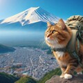 登山する猫 5枚目