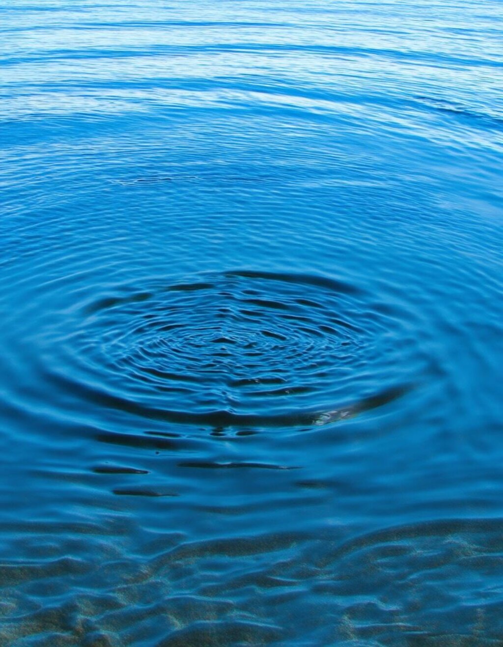 一語生成【ripple】4