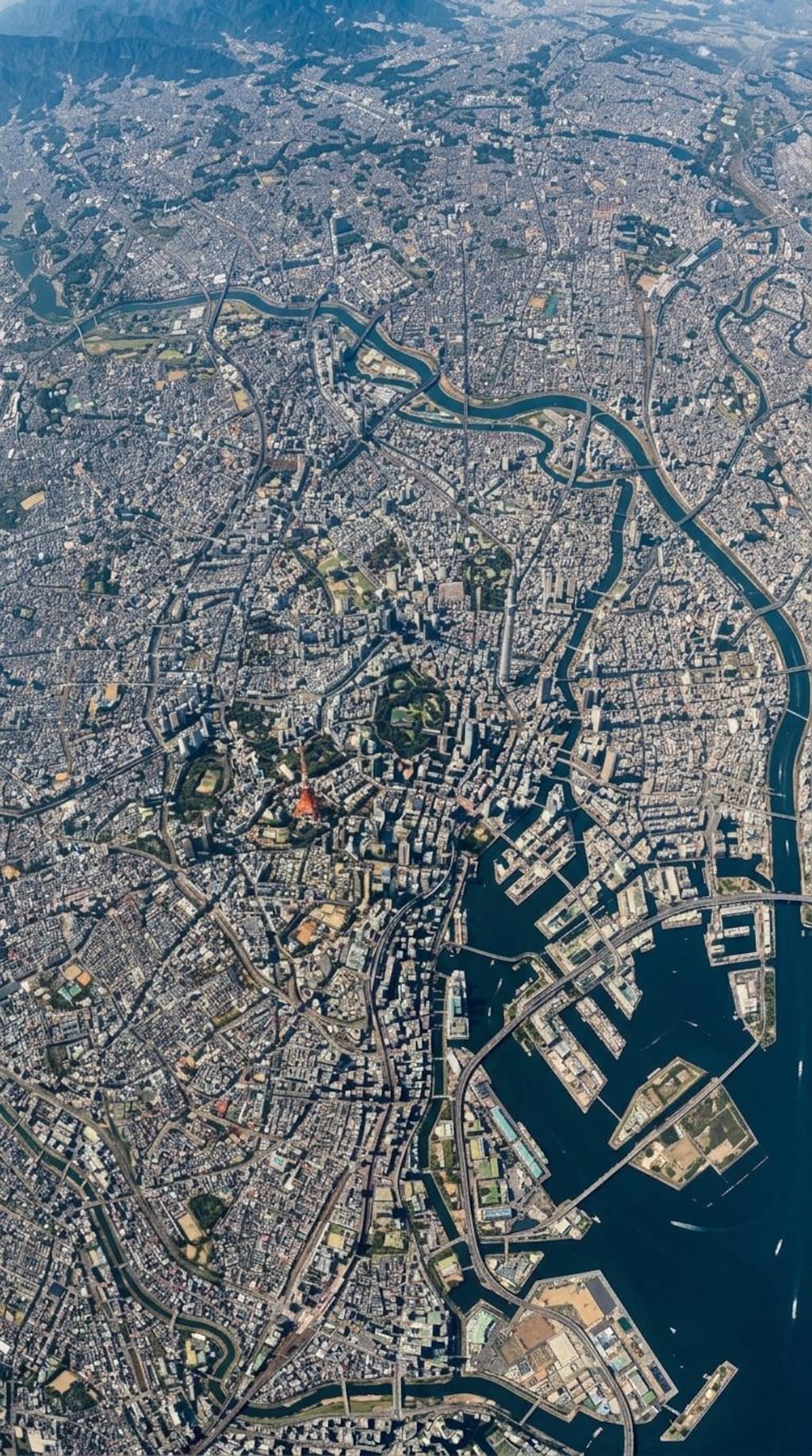 東京観光