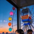 Top of the Wheel Excitement 4枚目