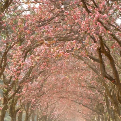 あなたが選んだ道を正解にすればいい