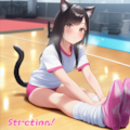 ストレッチにゃんこ 8枚目