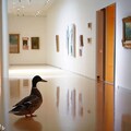 Duck visits art museum 5枚目