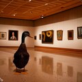 Duck visits art museum 4枚目