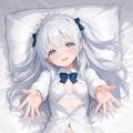 プリンセス 2635 9枚目