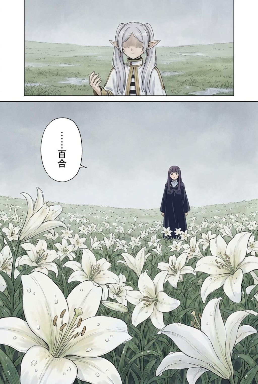 花送 3話 白百合