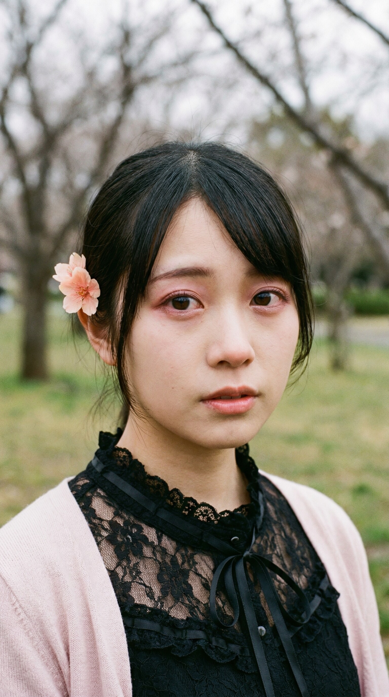 Melancholy of the Peach Blossom | の人気AIイラスト・グラビア