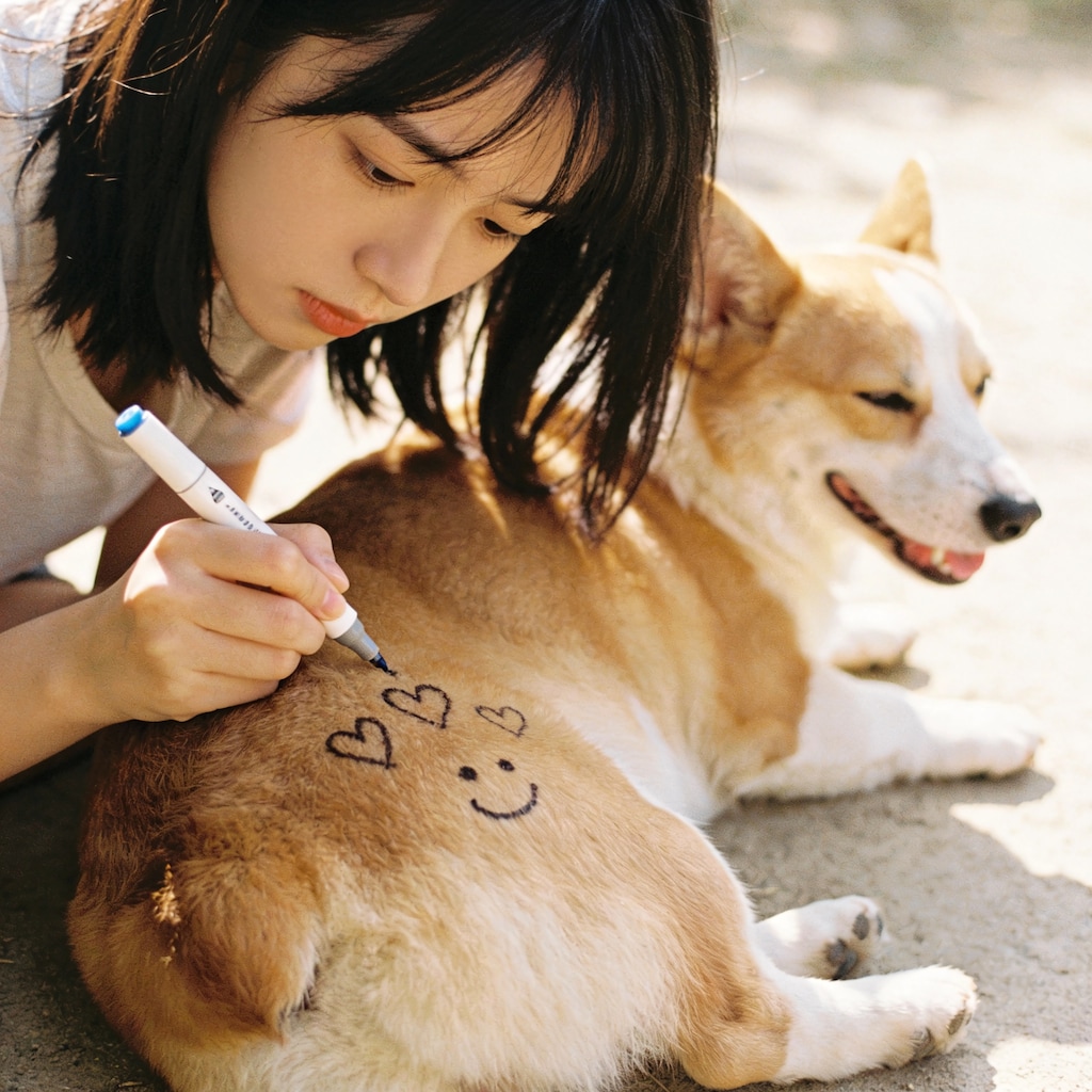 Comparing Cute Corgi Butts